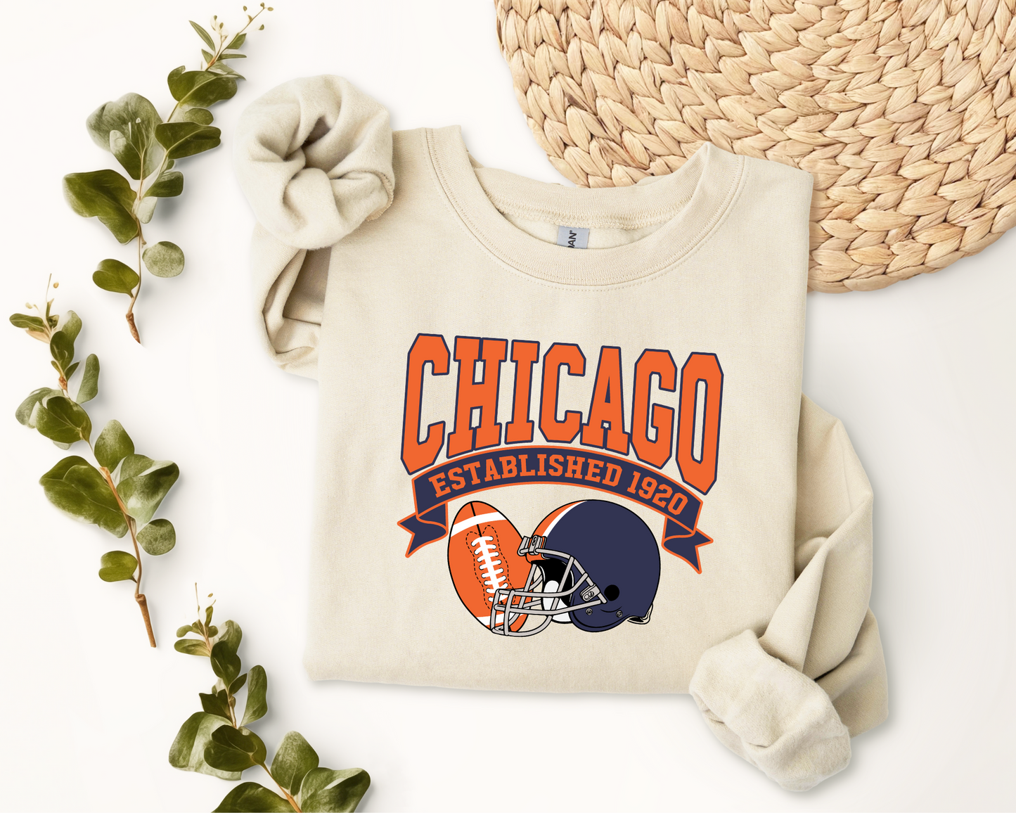 Vintage State Football Sweatshirt Collection - Chicago