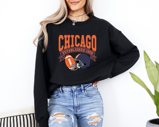 Vintage State Football Sweatshirt Collection - Chicago